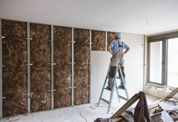 Expert Drywall Repair & Painting in Colorado