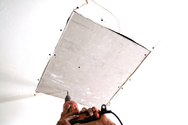 The  Function of  Expert  Assessment in Drywall  Style in Colorado